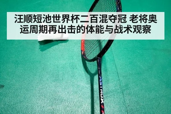 汪顺短池世界杯二百混夺冠 老将奥运周期再出击的体能与战术观察