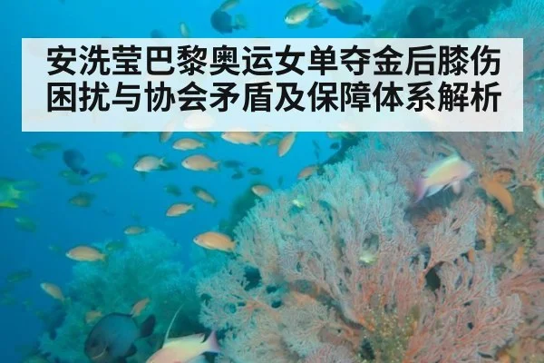 安洗莹巴黎奥运女单夺金后膝伤困扰与协会矛盾及保障体系解析